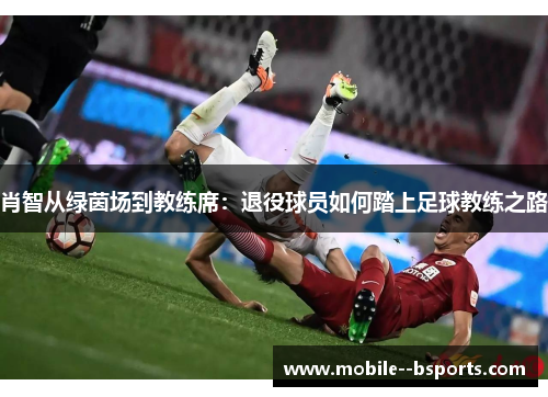 肖智从绿茵场到教练席：退役球员如何踏上足球教练之路