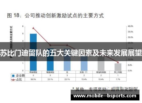 苏比门迪留队的五大关键因素及未来发展展望