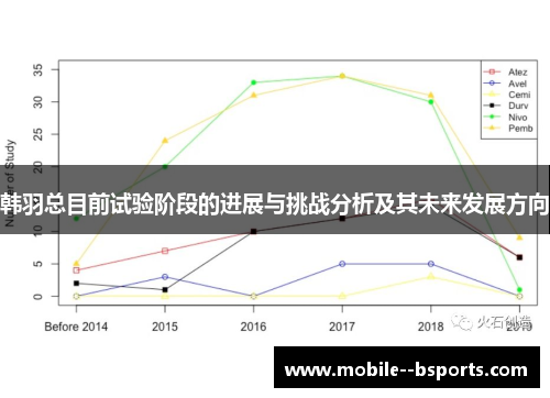 韩羽总目前试验阶段的进展与挑战分析及其未来发展方向